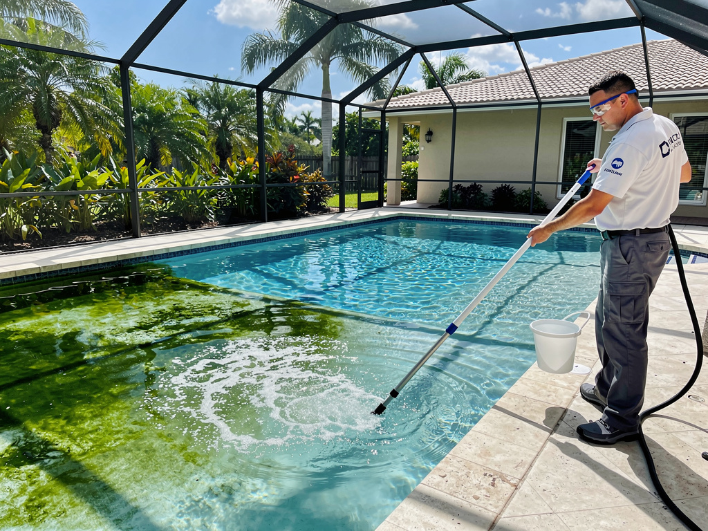 Green Pool Recovery in Davie FL: Why Equestrian Properties Require a Different Treatment Approach - pool service Fort Lauderdale FL